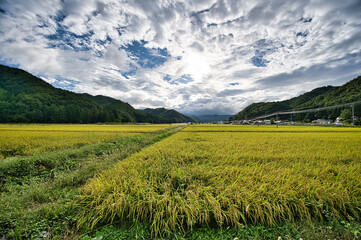 晩夏の里の風景