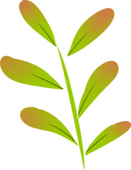 autumn leaves change