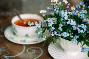 flowers, forget-me-nots, white forget-me-nots, flowers of blue-white forget-me-nots, close-up, boraginaceae, myosotis,
