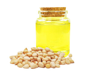 pine nut oil in bottle isolated on white background
