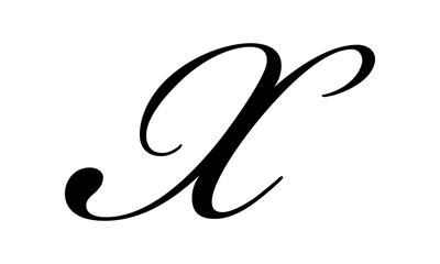 Letter X Logo Template Design	
