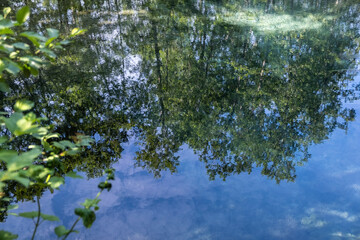 beautiful reflections in the water of the lake