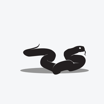 recommend clip art: Snake vector png