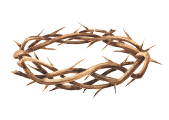Crown of Thorns,  Hand drawn watercolor illustration isolated on white background