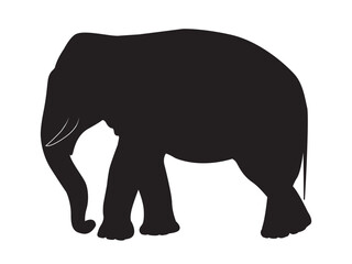 Silhouette of a elephant, side view. Vector illustration isolated on white background