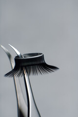 Close-up image of metal tweezers with eyelashes for extension on gray background. Concept of beauty. Beauty salon.