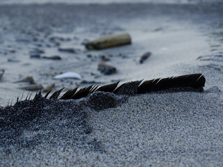 Zamki na piasku © Przemysaw