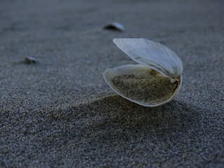 Zamki na piasku © Przemysaw