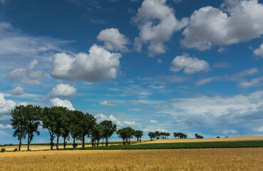 Góry Stołowe © Przemysaw