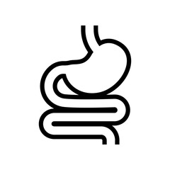 Digestive system, Human stomach and gastrointestinal system Infographic. Vital organ. Stomach, gastric and Colon tract as internal organ. Vector illustration design.
