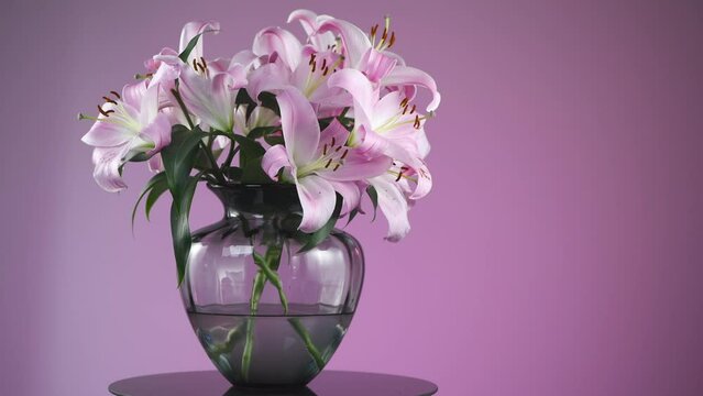 Beautiful lily flowers bouquet in a glass vase. Lillies. Pink lilies rotating. Big bunch of fresh fragrant lilies over purple background. Slow motion