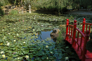 Etang; parc floral; region Pays de Loire; La Court d'Aron; 85, Vendée, France