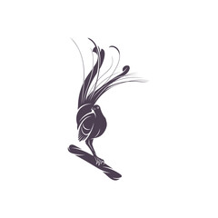 Lyrebird vector illustration design. Lyrebird Silhouette. Lyrebird design template.