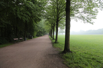 Fototapeta na wymiar Hamburger Stadtpark im Nebel im Sommer
