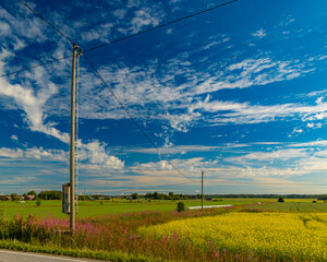 Fototapety na wymiar - Fototapeta24.pl