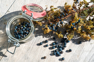 dried berries from the juniper at the autumn season