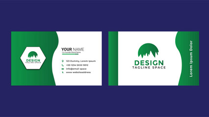 Professional Simple Business Card Design