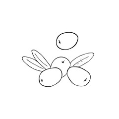 Hand-drawn olives, isolated on white background, food vector illustration