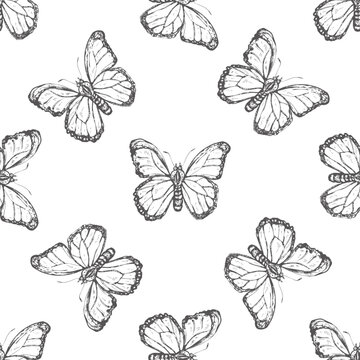 Hand drawn butterfly seamless pattern. Monochrome insects doodle. Black and white vintage elements. Vector sketch. Detailed retro style.