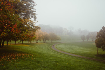 Morgens im Park bei Nebel im Herbst