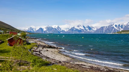 Deurstickers Shoreline of Lyngenfjord in Norway above arctic circle an a beautiful windy summer day © Photofex