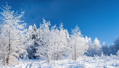 snowdrifts and snowfall against blue sky in sunny day on nature outdoors, blue tones, snow covered trees, winter season, Winter Christmas idyllic landscape. White trees in forest covered with snow