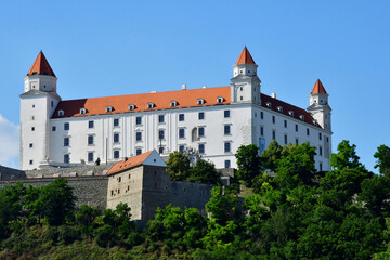 Fototapeta na wymiar Bratislava, Slovakia - june 25 2023 : city view from the Danube