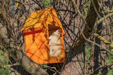 Orange wooden bird feeder. Closed artificial feeder for small birds or squirrels.