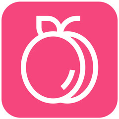 Apricot Vector Icon Design Illustration