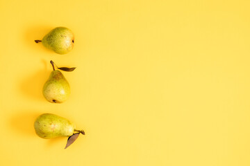 Yellow pears pattern. Close up of pear on yellow background. Autumn fruit concept from ripe juicy...