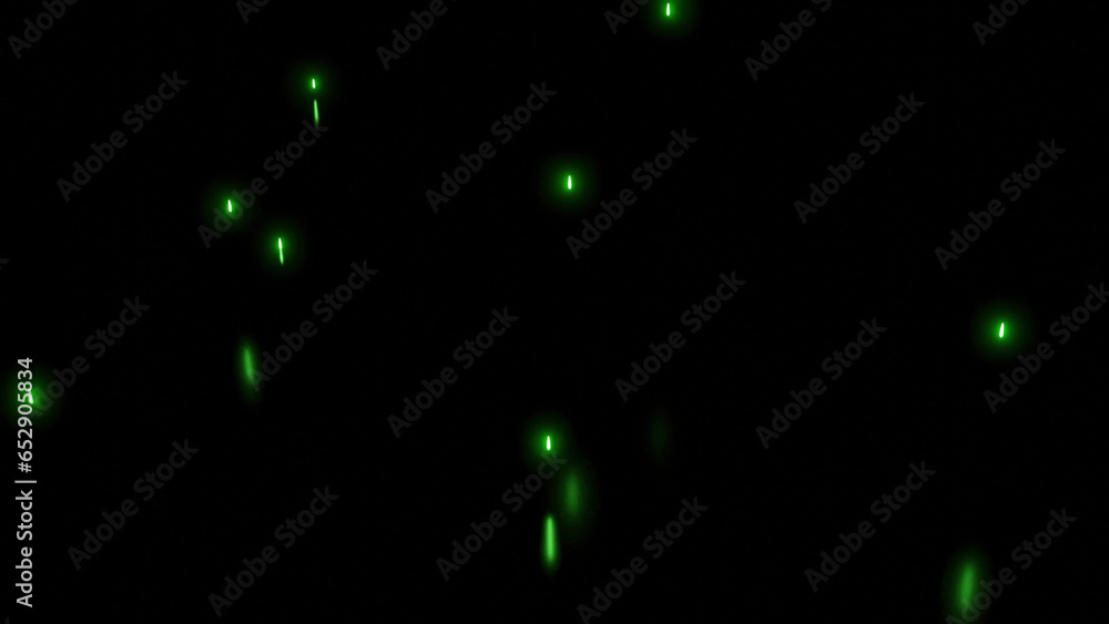 Poster falling bright particles with reflection on black background. design. bright glowing particles fall 