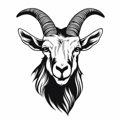 Black and white goat head. Isolated illustration.