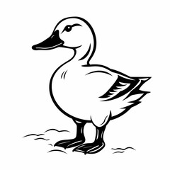 Obraz premium Black white duck illustration.