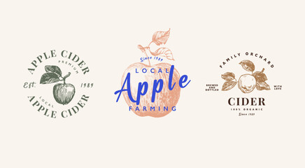 Apple cider logo template set, apple juice products emblem. Hand drawn apple fruits - 652911662