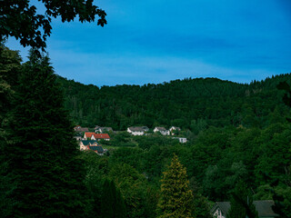 Fototapeta na wymiar A few houses on a mountain between trees