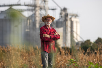 Farmer in front of grain silos in corn field