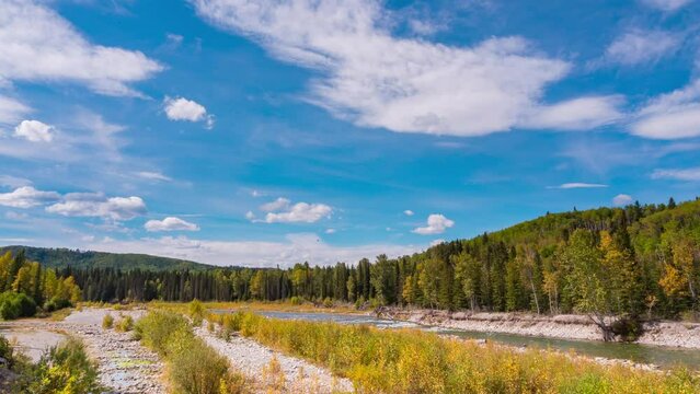 Autumn, fall season 4k footage. yellow color from trees contrast with the blue sky background in warm sunny day. people relaxing at the river valley. beautiful scenery of nature landscape background.