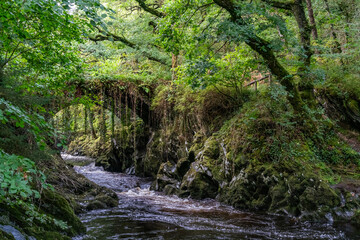 Obraz premium River in full flood after a lot of rain, North Rain