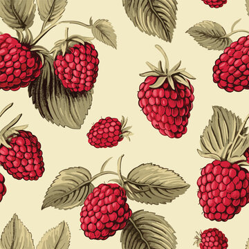 Seamless vintage pattern with raspberry berry. Hand drawn raspberries pattern on beige background. For fabric, drawing labels, print, wallpaper of children's room, frui