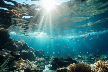 Foto op Canvas An underwater photo of the ocean with sunlight coming into the water and lots of fish. © Sina