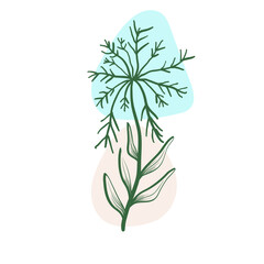 Fototapeta na wymiar illustration of a plant