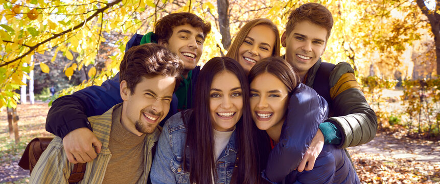 Joyful young friends in a beautiful autumn park. Six happy people standing all together under tree branches covered with yellow leaves, looking at the camera and smiling. Group portrait, banner