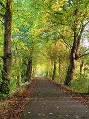 Autumn Morning
Lancashire, UK 