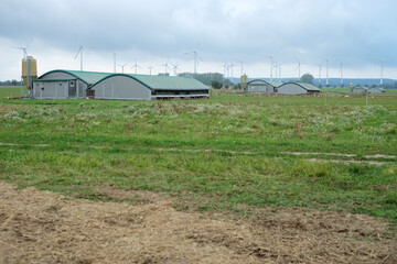 farm in the countryside with wind turbines in the background