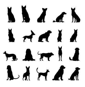 Vector set of different breeds dogs silhouettes isolated in black color on white backround