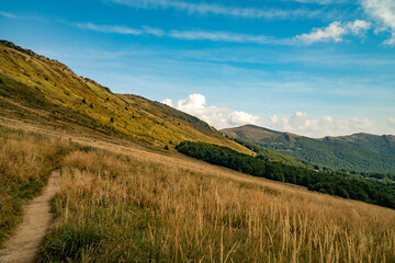 A mountain range in the Bieszczady Mountains in the area of Tarnica, Halicz and Rozsypaniec.