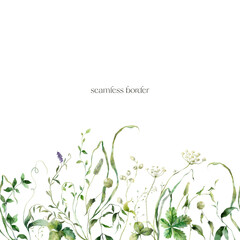 Watercolor seamless border of meadow flowers and grasses. Hand painted floral illustration isolated on white background. Bouquet for design, print, fabric or background. Poster for interior.