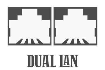 two dark and white connectors and the inscription "dual lan" at the bottom
