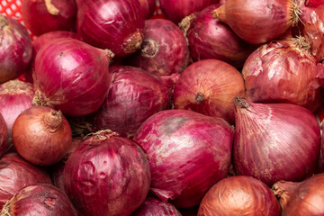 Onion texture background close up