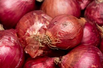 Onion texture background close up